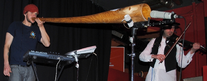 AnalogueBirds 0411 (62)